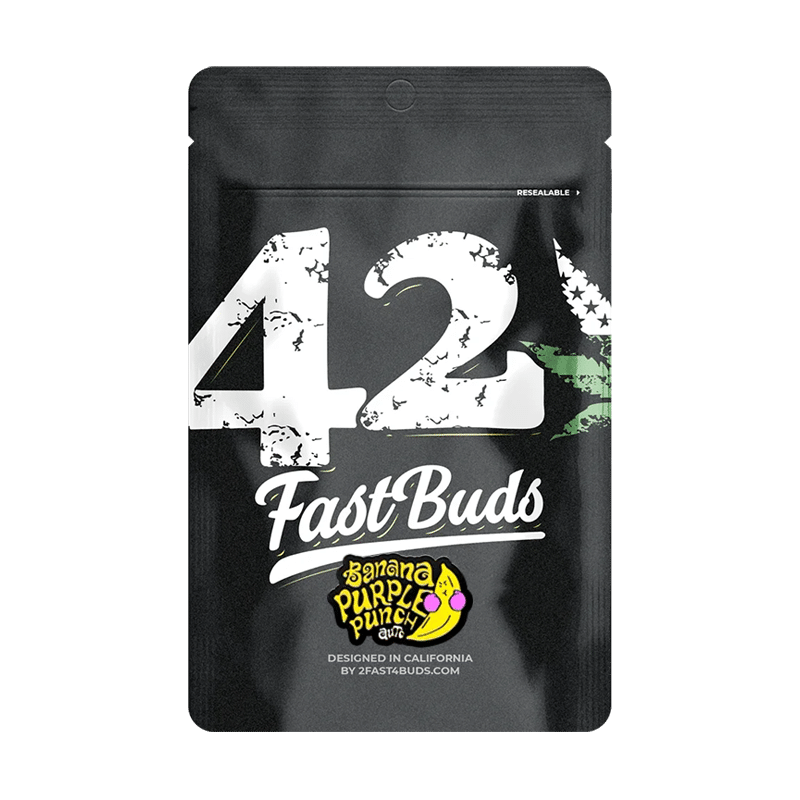 Fast Buds Banana Purple Punch | Autoflowering