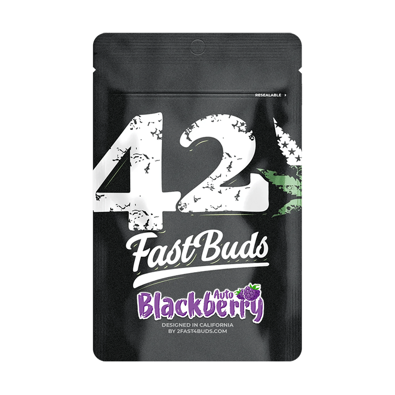 Fast Buds Blackberry | Autoflowering