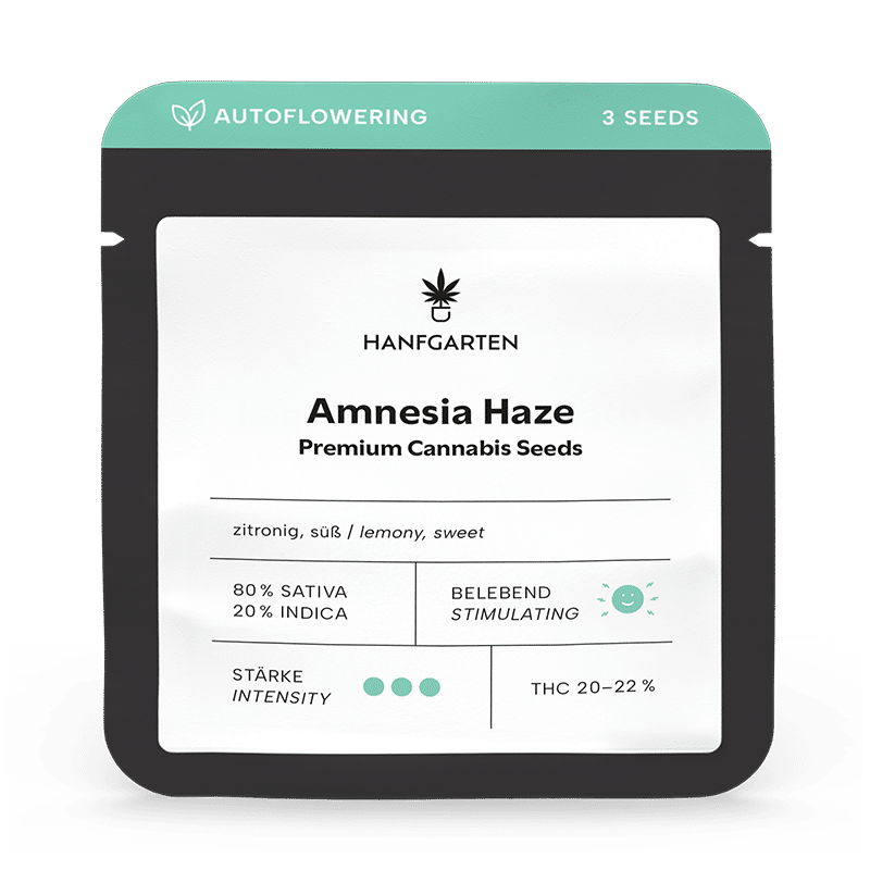 Hanfgarten Amnesia Haze | Autoflowering