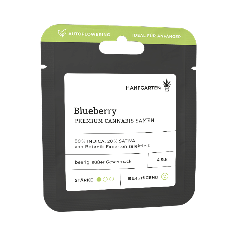 Hanfgarten Blueberry | Autoflowering
