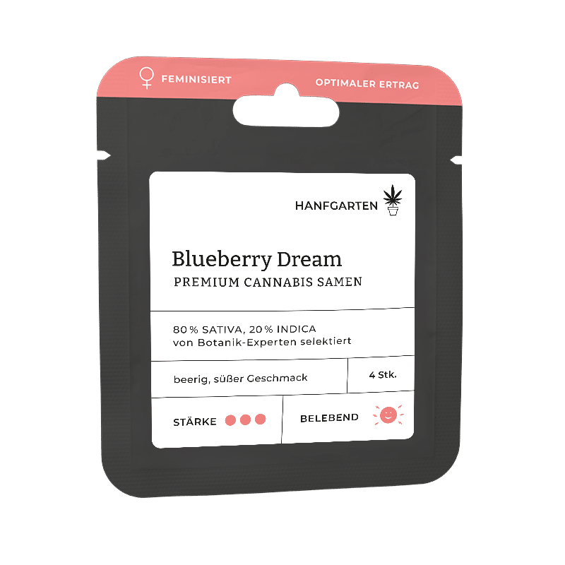 Hanfgarten Blueberry Dream | Feminisiert