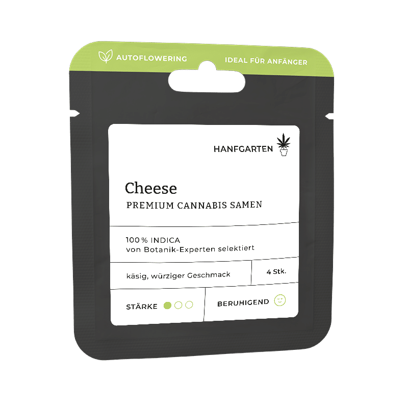 Hanfgarten Cheese | Autoflowering