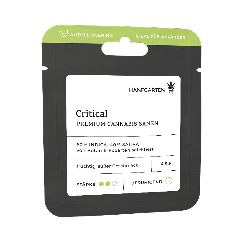 Hanfgarten Critical | Autoflowering