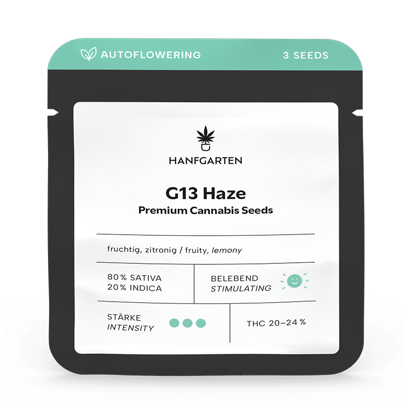 Hanfgarten G13 Haze | Autoflowering