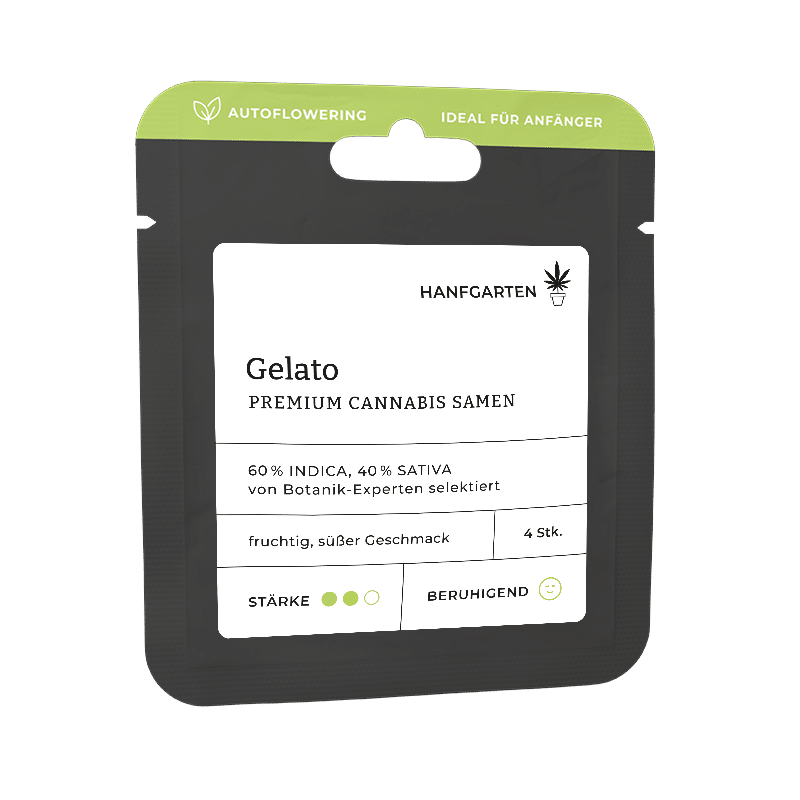 Hanfgarten Gelato | Autoflowering