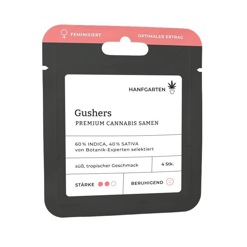 Hanfgarten Gushers | Feminisiert