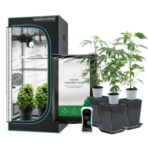 Hanfgarten Indoor-Anbau Rundum Sorglos Paket | Stecklinge (groß)