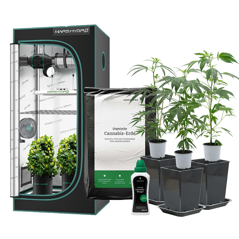 Hanfgarten Indoor-Anbau Rundum Sorglos Paket | Stecklinge (groß)