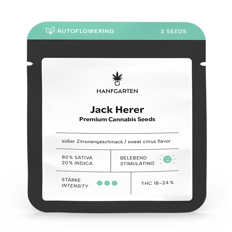 Hanfgarten Jack Herer | Autoflowering