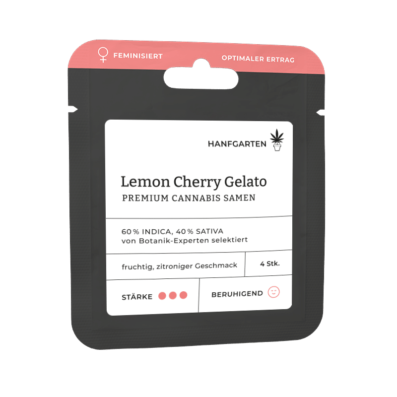 Hanfgarten Lemon Cherry Gelato | Feminisiert