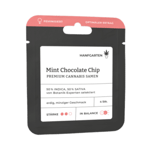 Hanfgarten Mint Chocolate Chip | Feminisiert