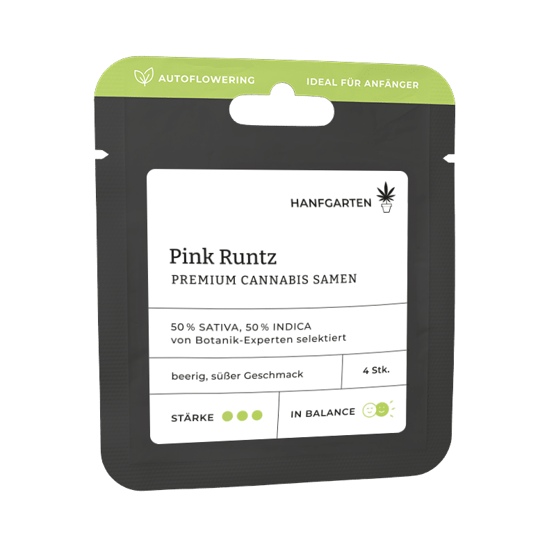Hanfgarten Pink Runtz | Autoflowering