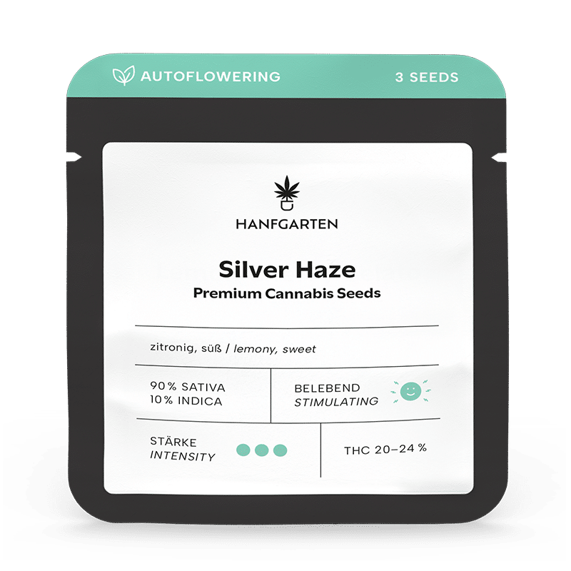 Hanfgarten Silver Haze | Autoflowering