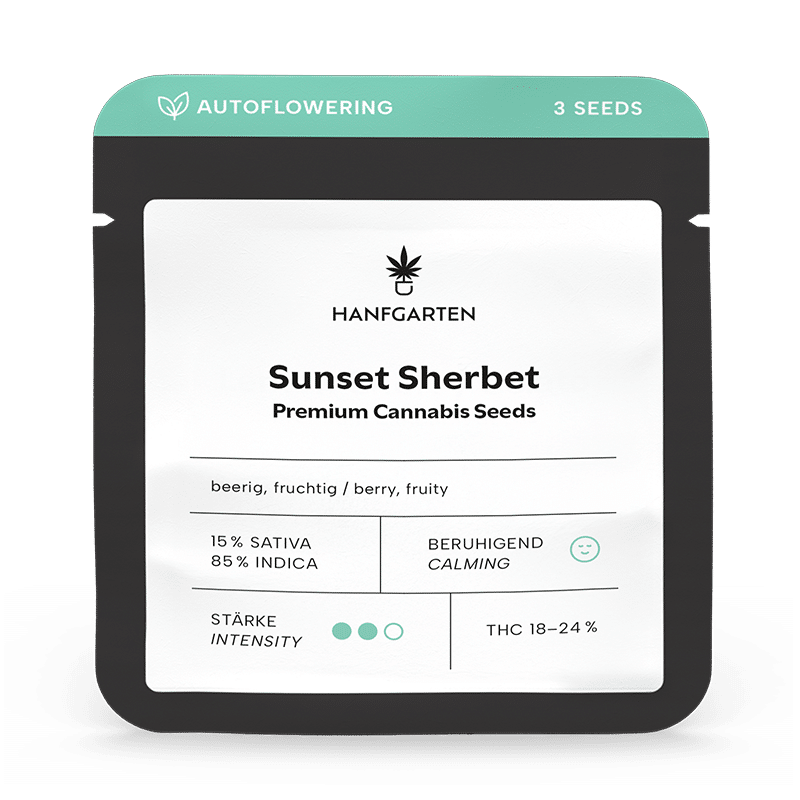 Hanfgarten Sunset Sherbet | Autoflowering