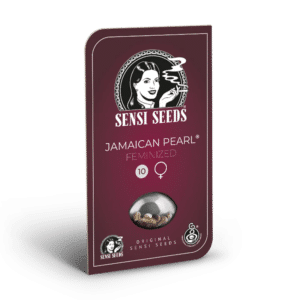 Sensi Seeds Jamaican Pearl | Feminisiert